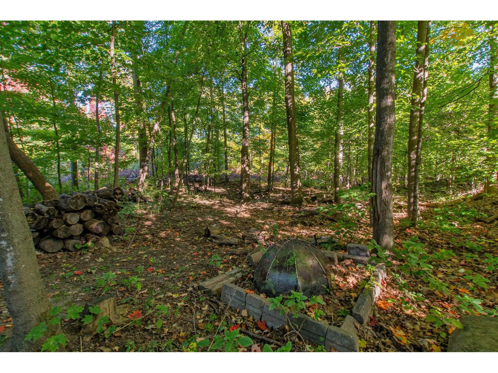 234 Rue Lucerne Property Photo 46