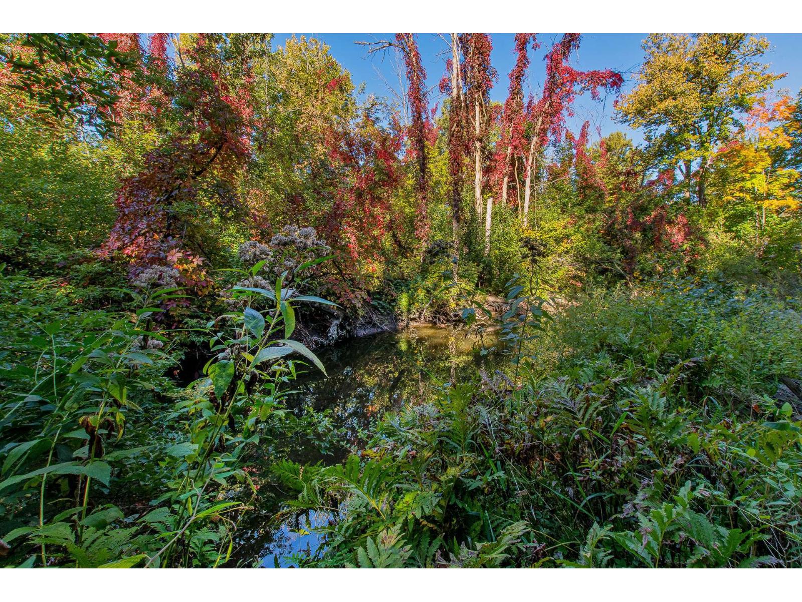 234 Rue Lucerne Property Photo 47