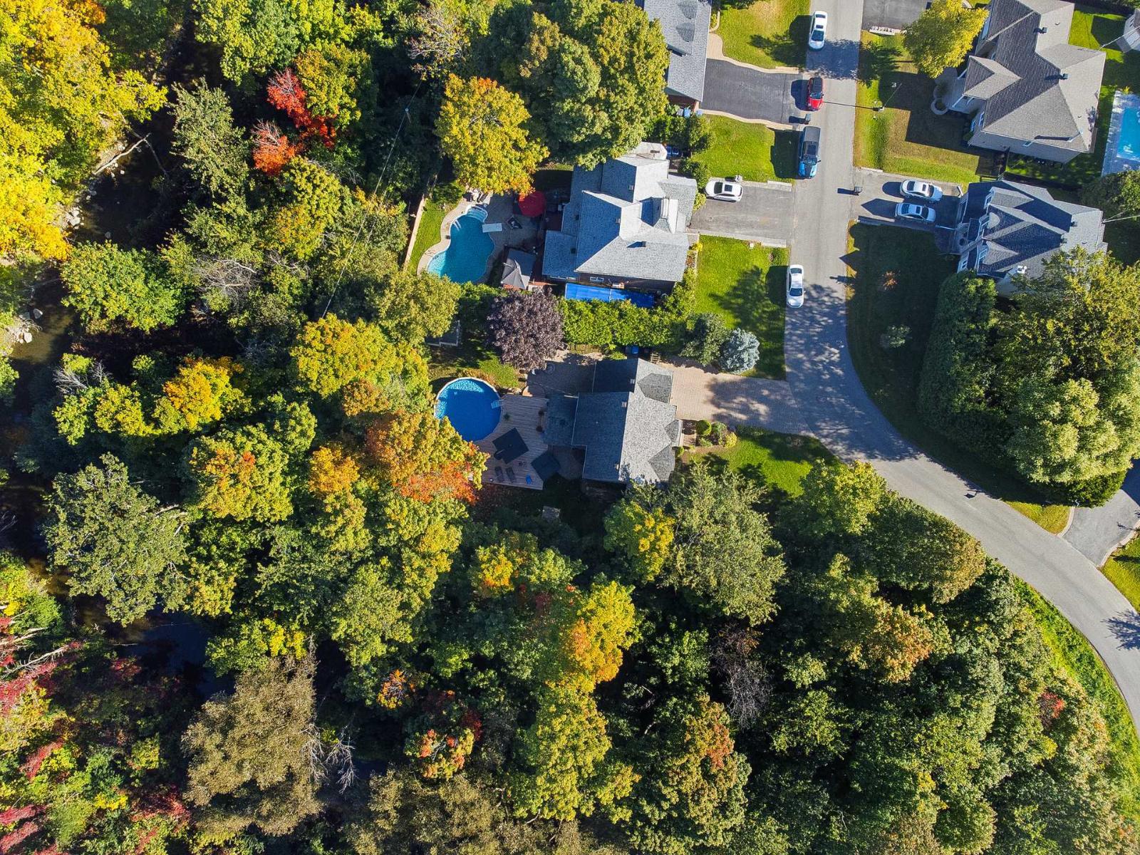 234 Rue Lucerne Property Photo 60