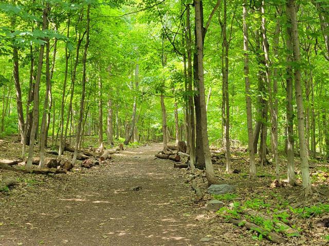 3475 Av. Ridgewood, #407 Property Photo 20