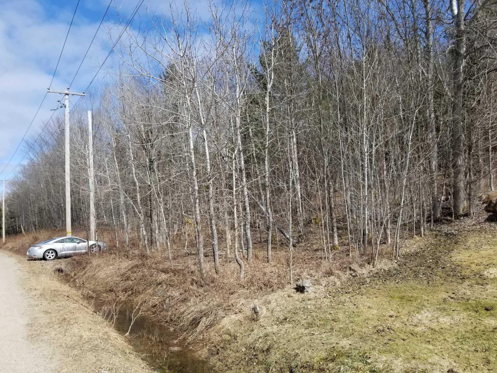 3042 Route Des Tulipes Property Photo 8