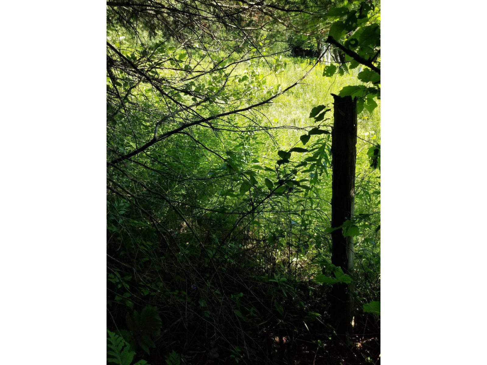 3042 Route Des Tulipes Property Photo 12