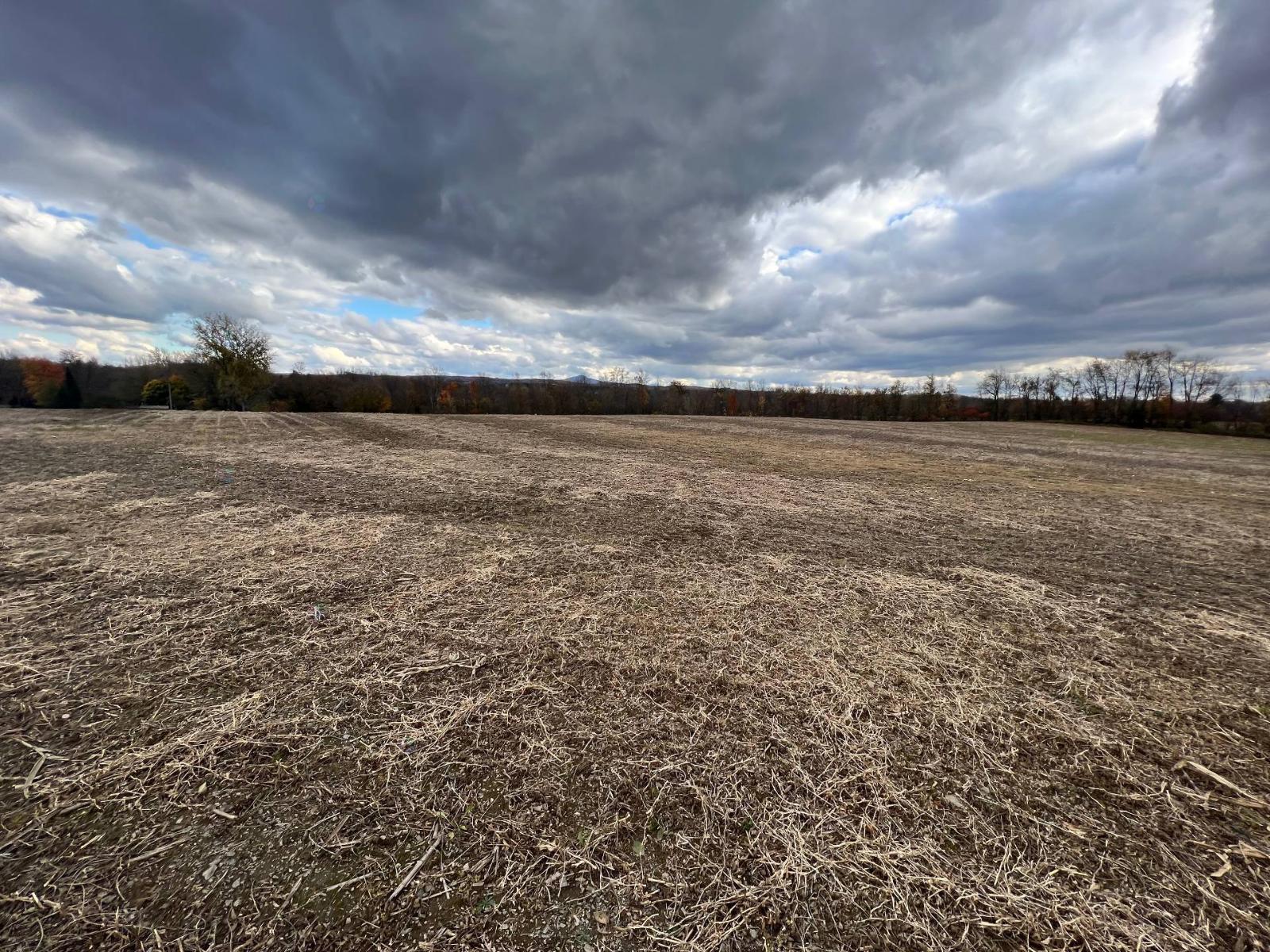 42z Ch. Gage Property Photo 4