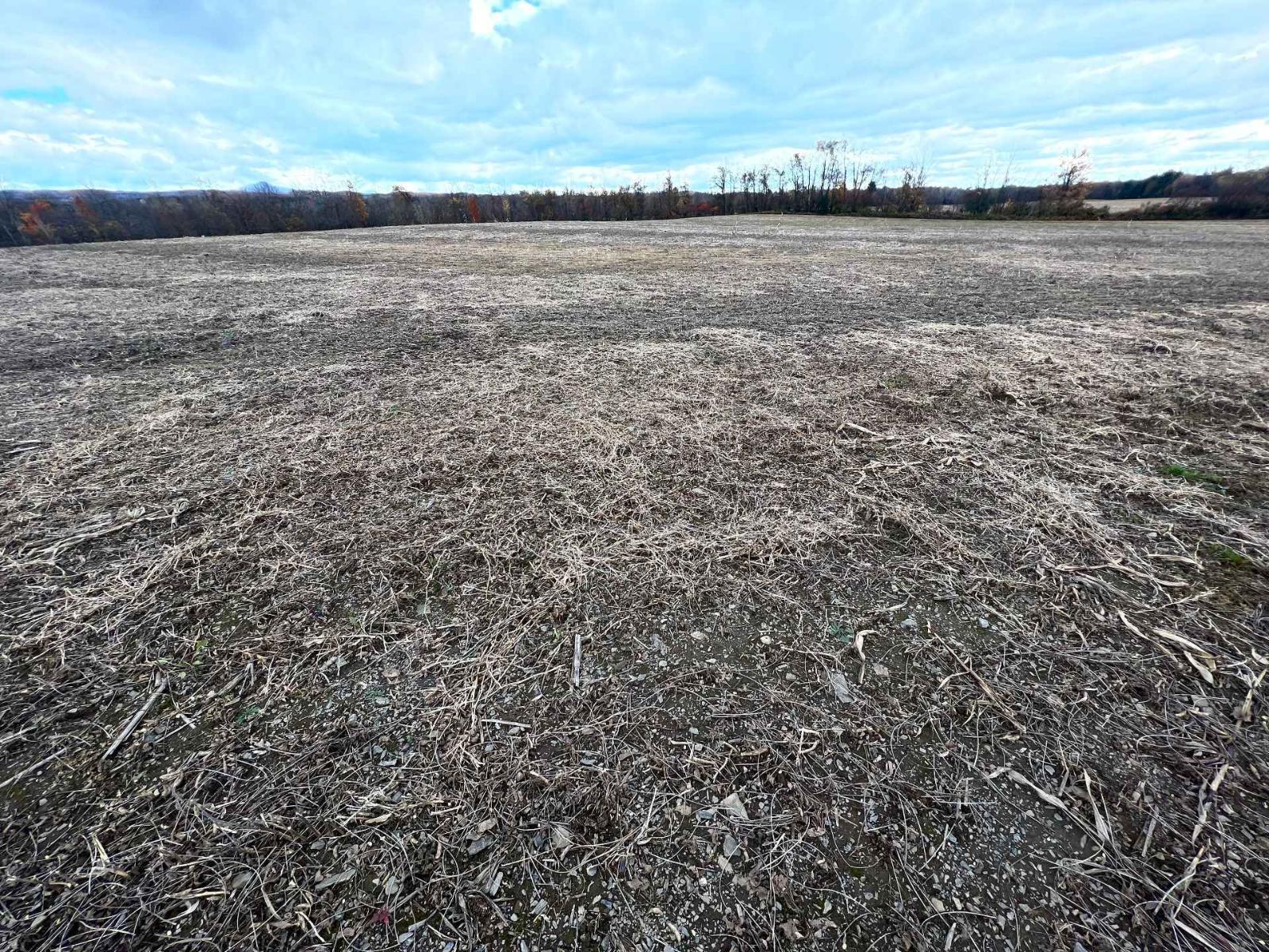 42z Ch. Gage Property Photo 5