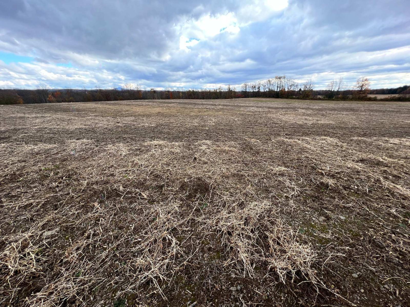 42z Ch. Gage Property Photo 6