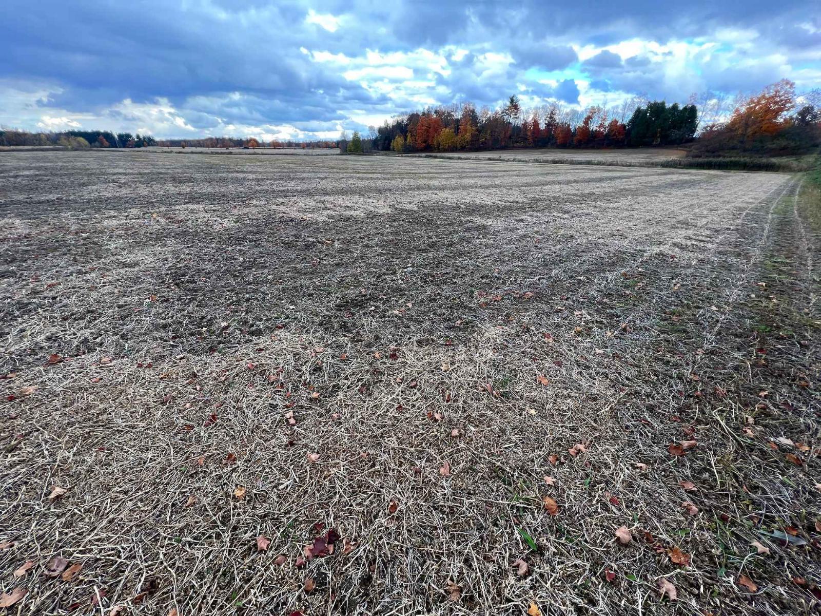 42z Ch. Gage Property Photo 11
