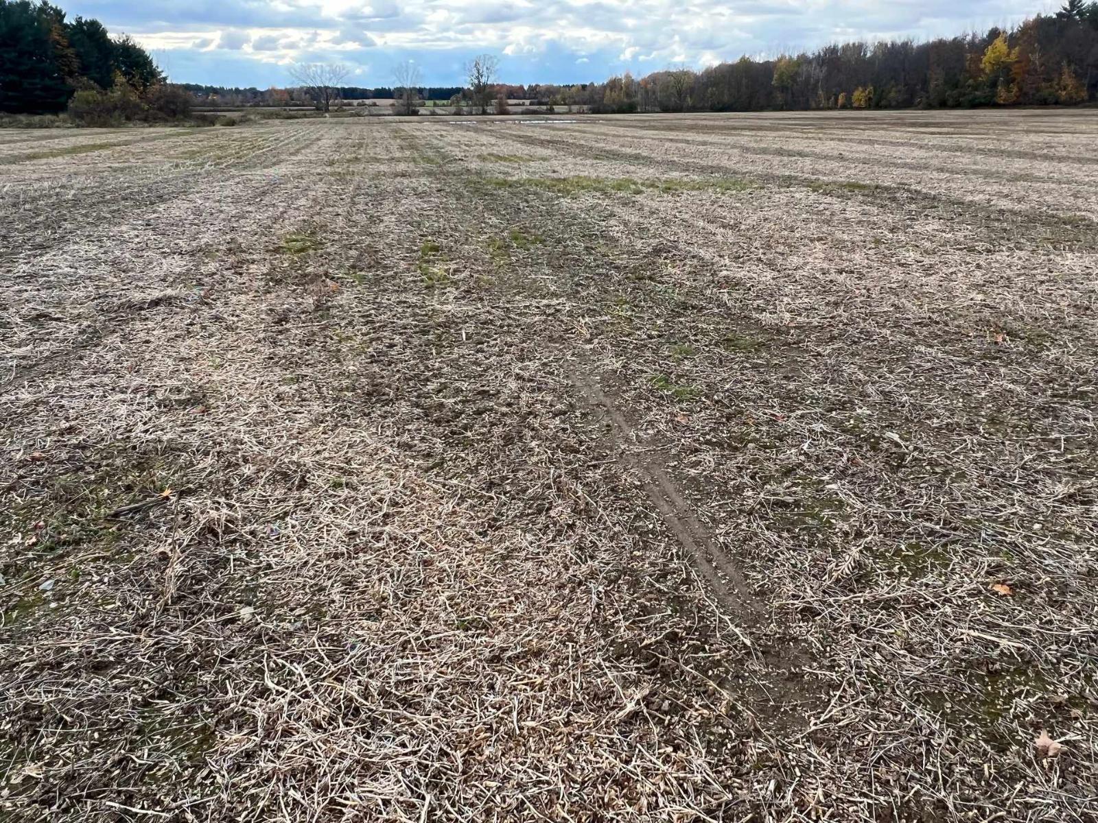 42z Ch. Gage Property Photo 13