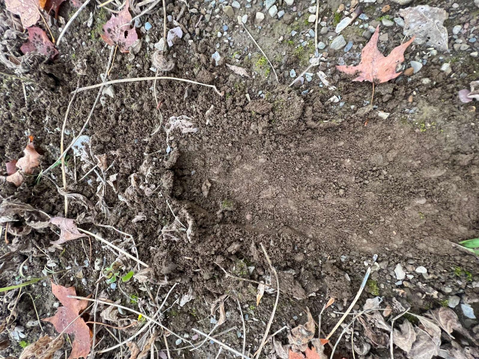 42z Ch. Gage Property Photo 15