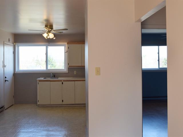 45 Rue De L'hôtel-de-ville Property Photo 4