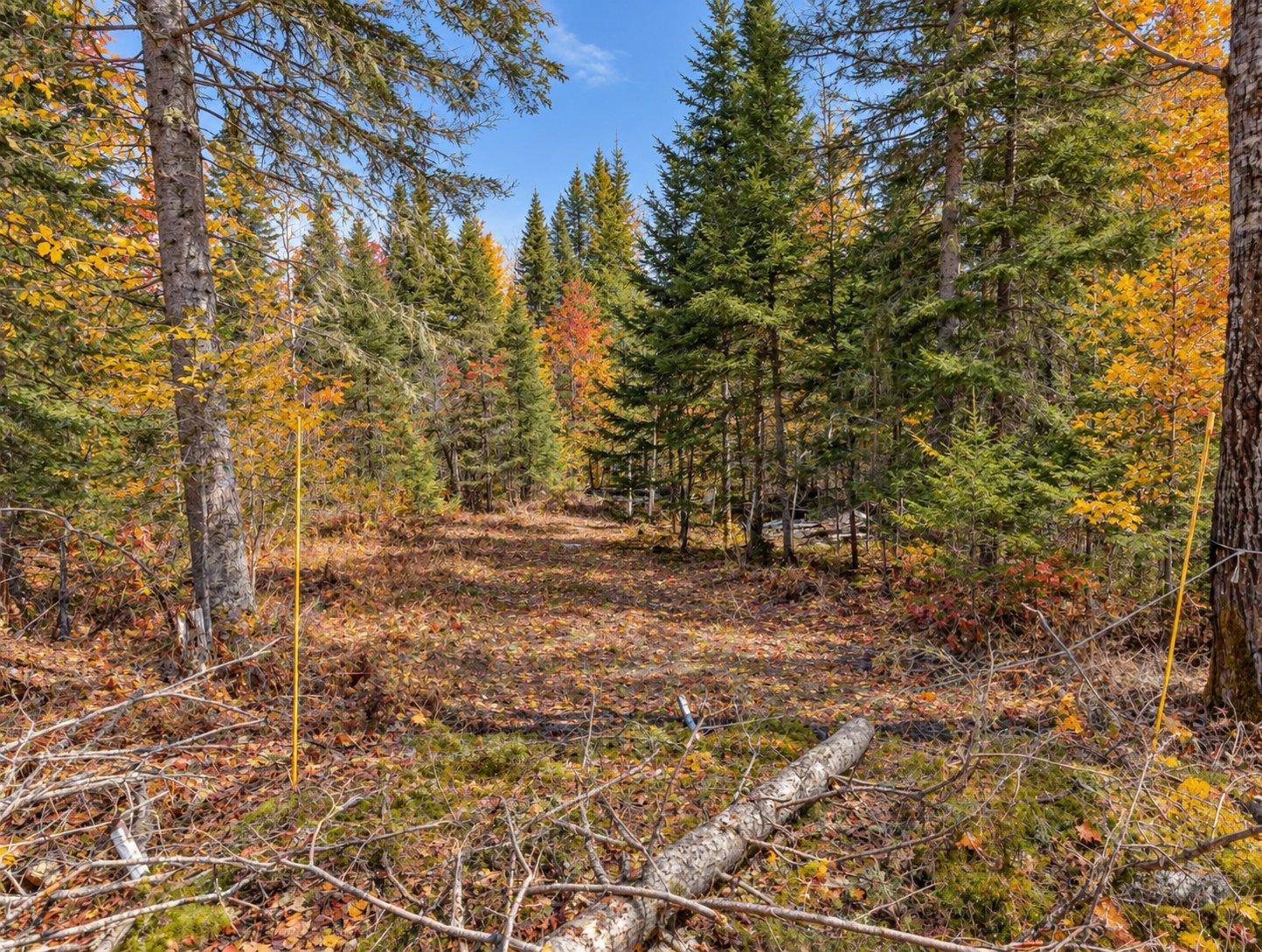 Ch. Du Lac-paul Property Photo 8