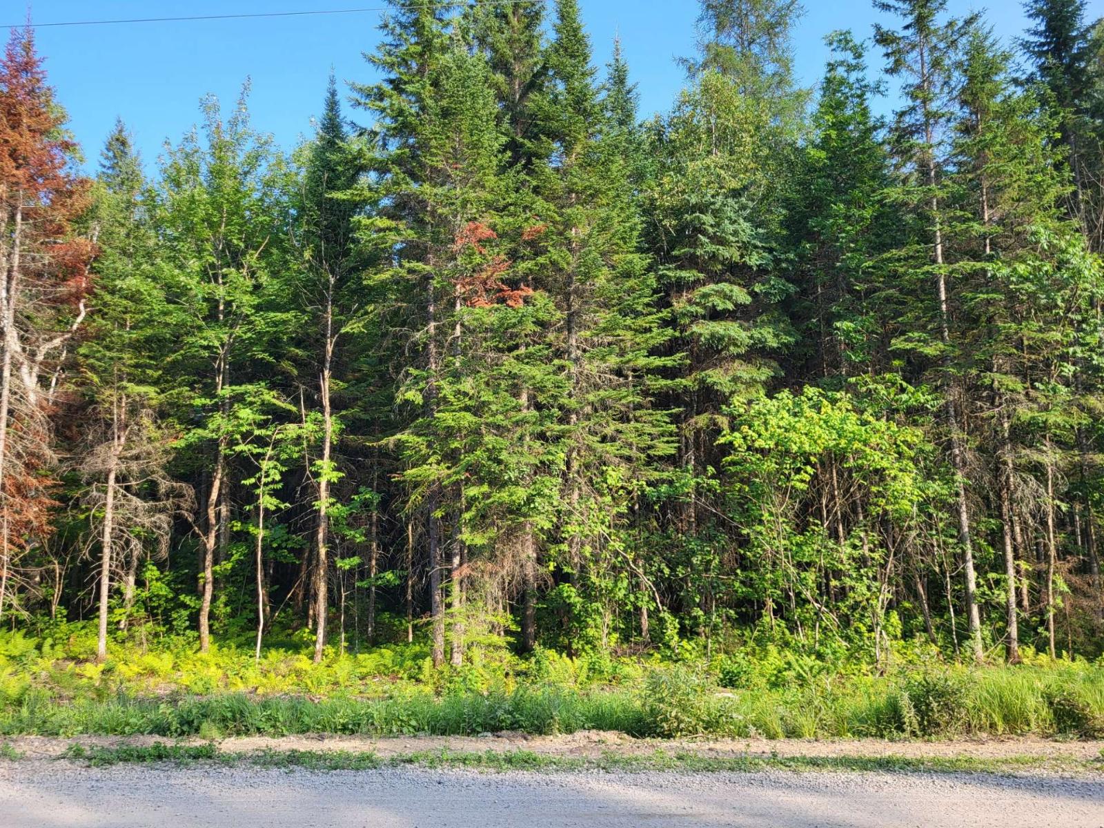 Rue Théophile-gauthier Property Photo 1