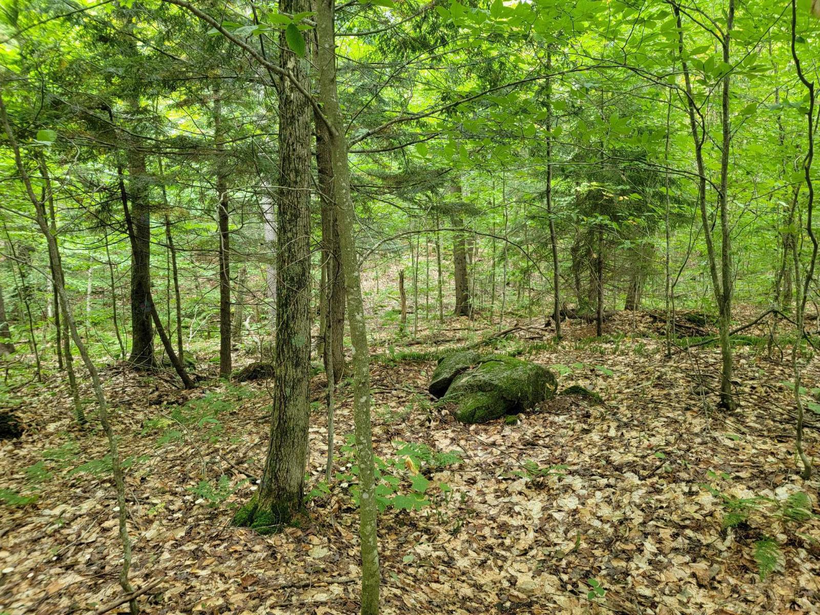 Ch. Lobel Property Photo 9