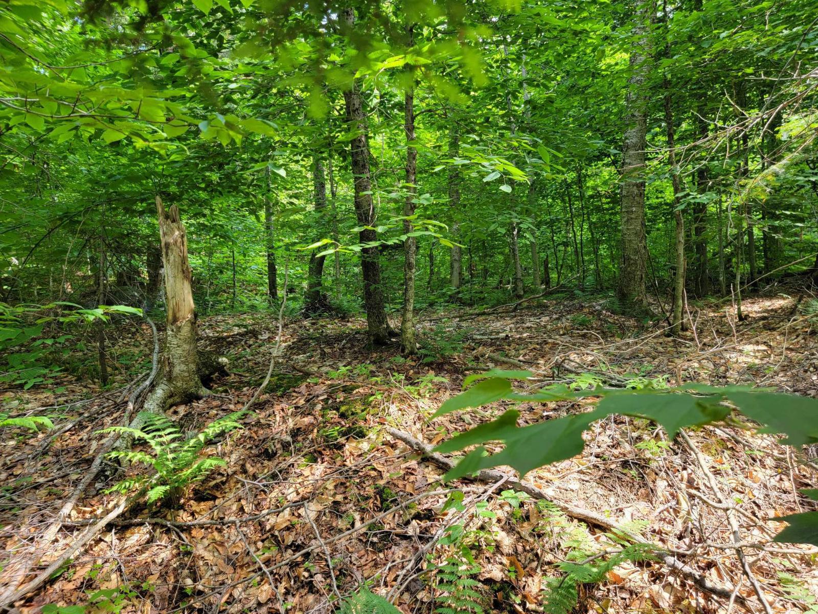 Ch. Lobel Property Photo 13