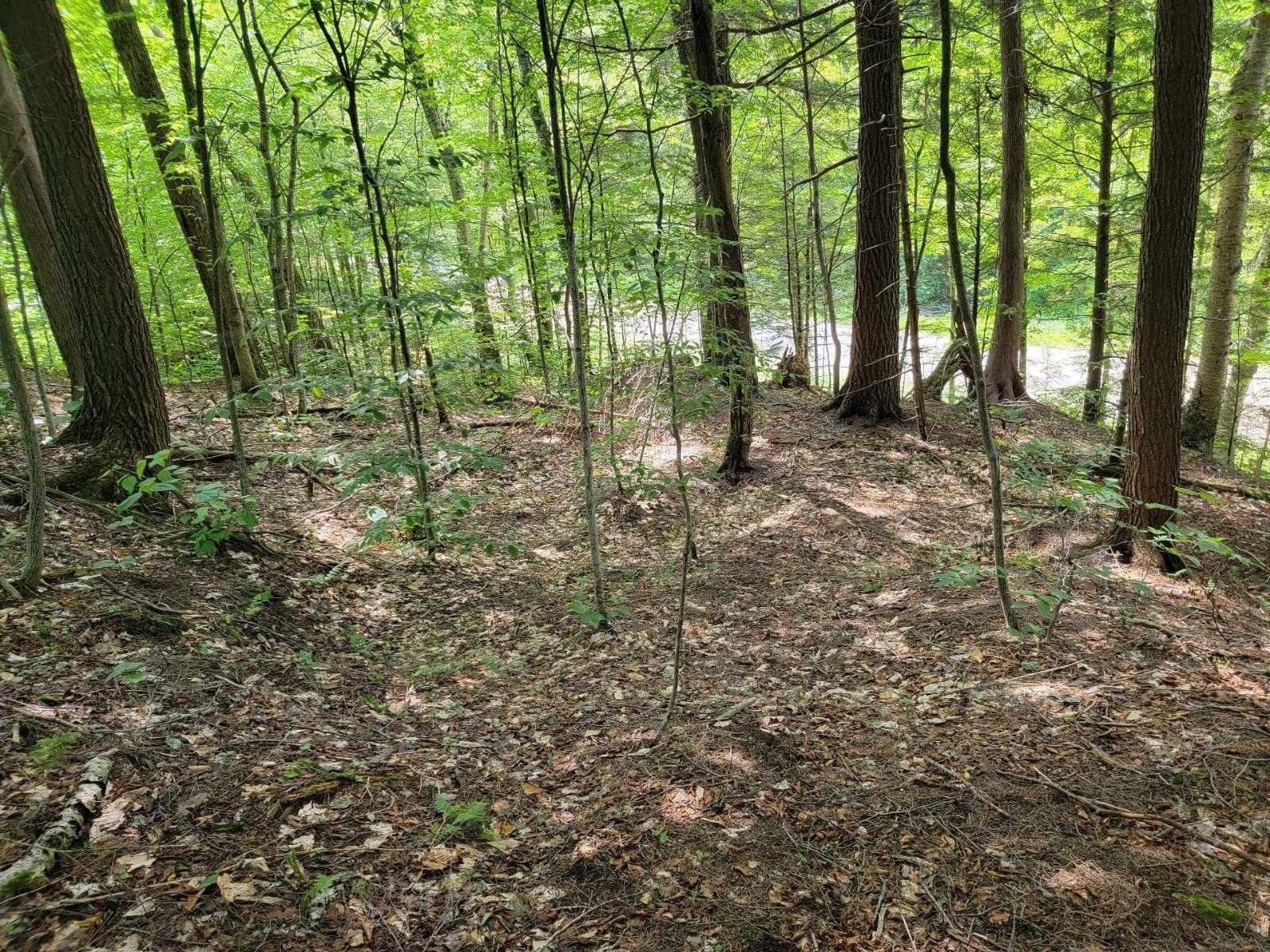 Ch. Lobel Property Photo 17