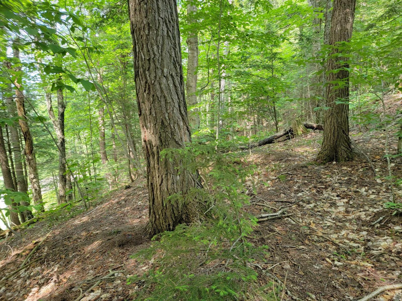 Ch. Lobel Property Photo 21