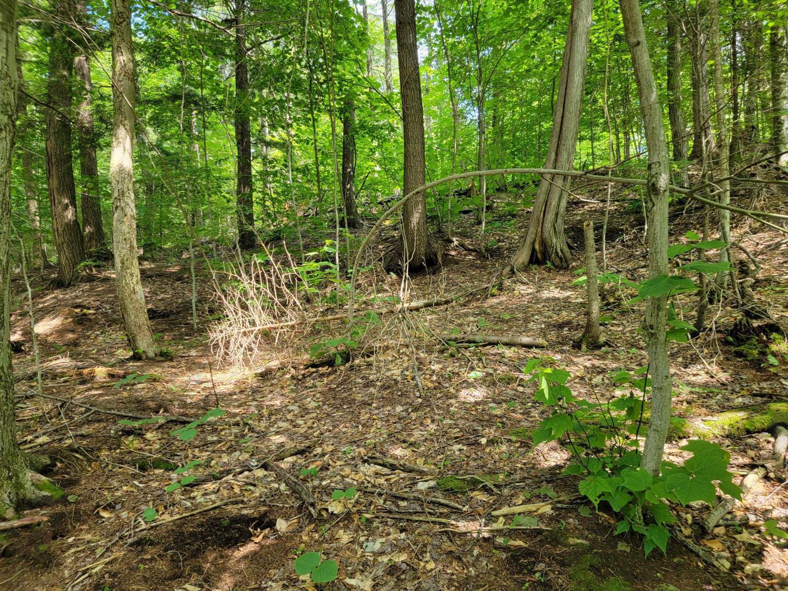 Ch. Lobel Property Photo 23