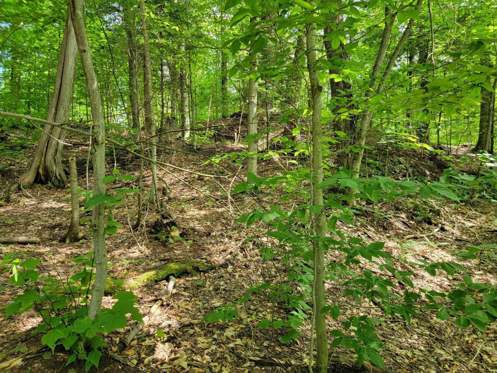 Ch. Lobel Property Photo 25