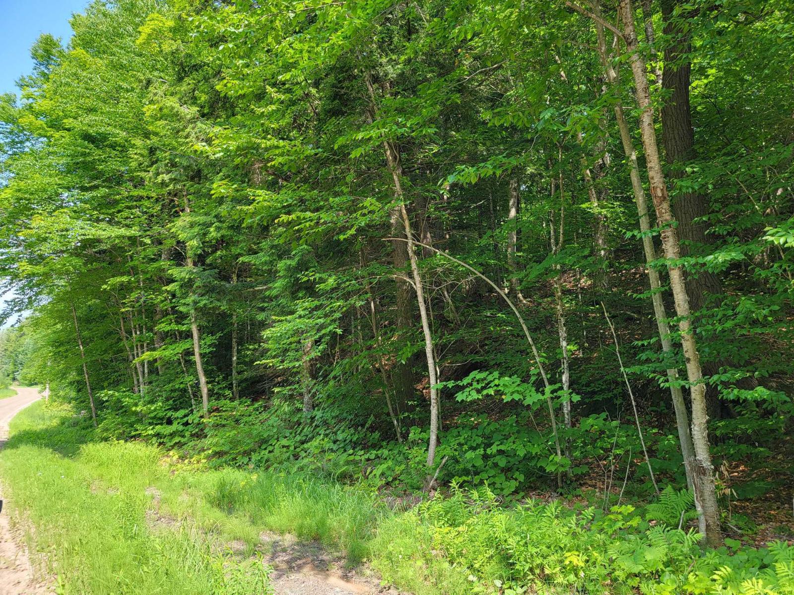 Ch. Lobel Property Photo 38