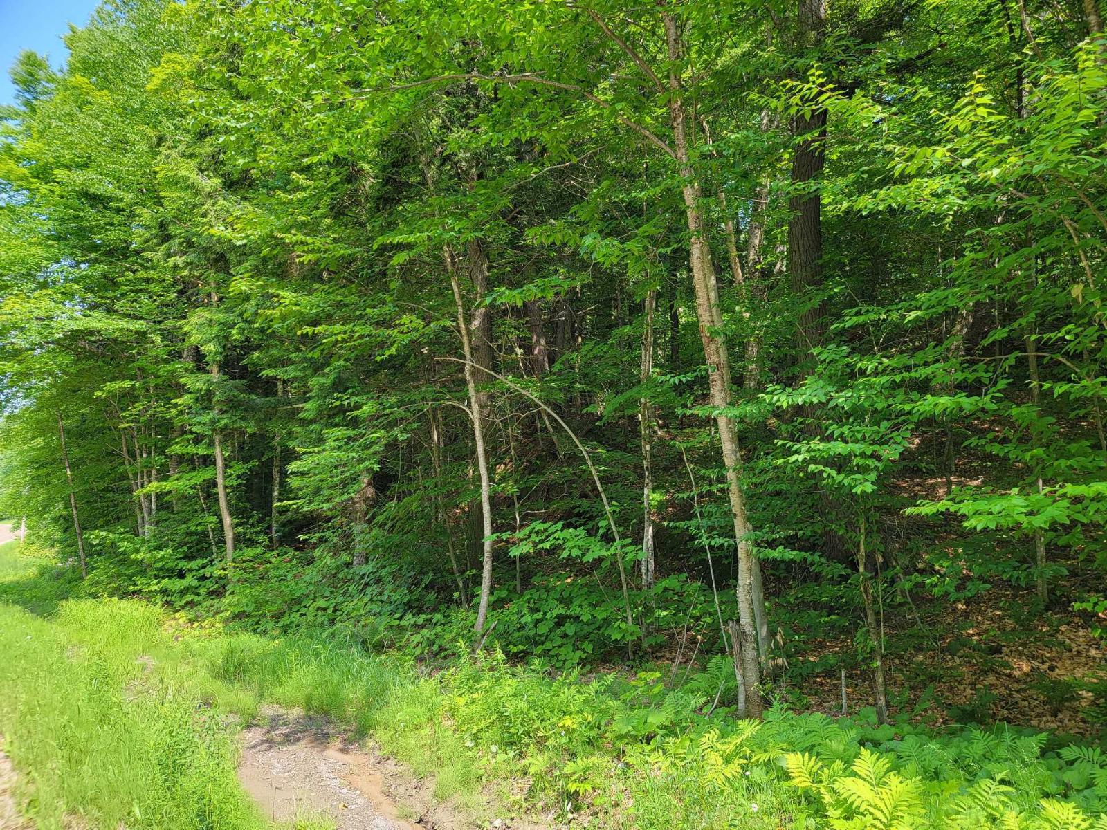 Ch. Lobel Property Photo 39