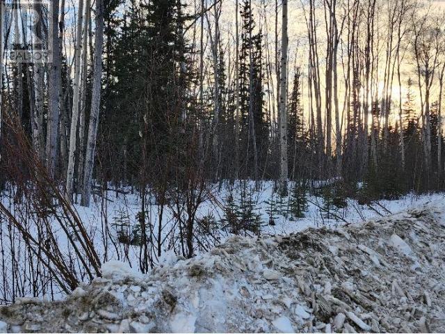 Lot 1100 Mayo Property Photo 4
