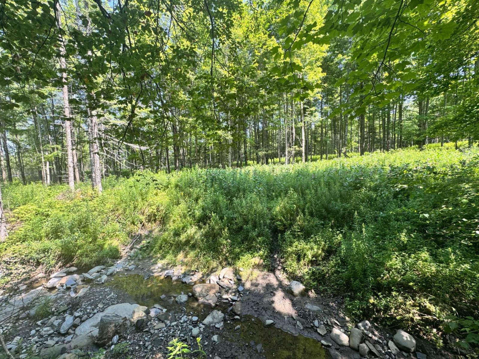 Ch. Tremblay Property Photo 3