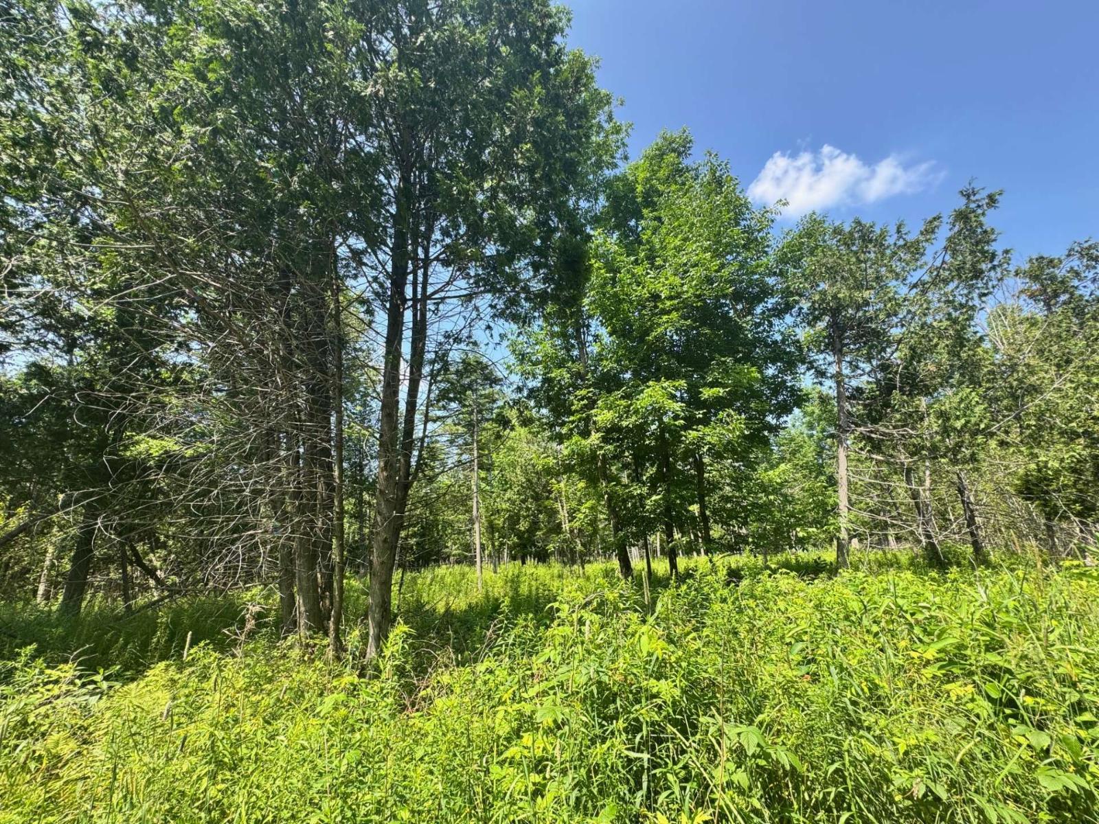 Ch. Tremblay Property Photo 4