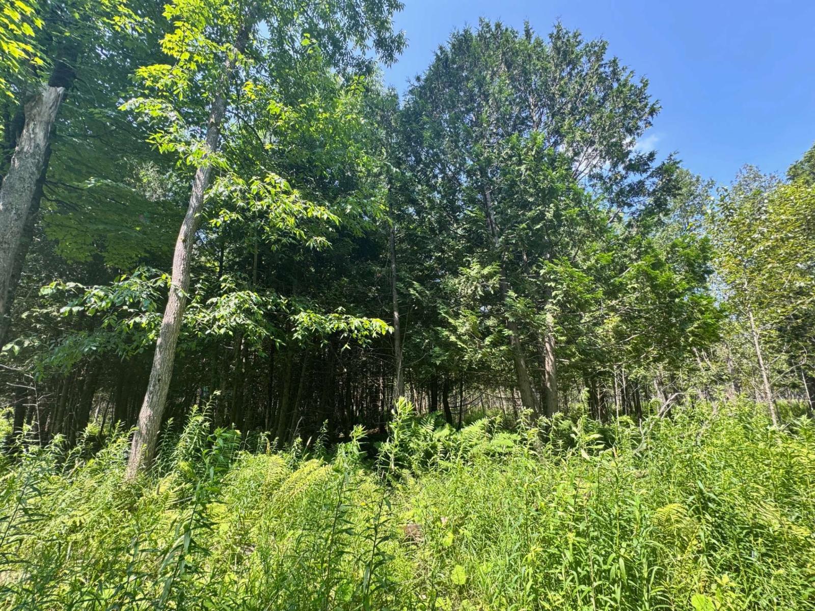 Ch. Tremblay Property Photo 5