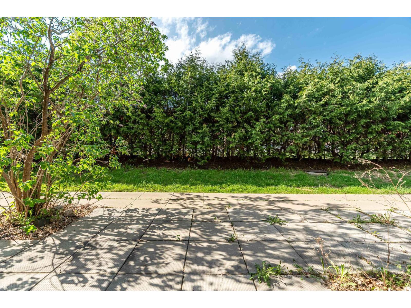 41 Rue De Toulouse, B Property Photo 31