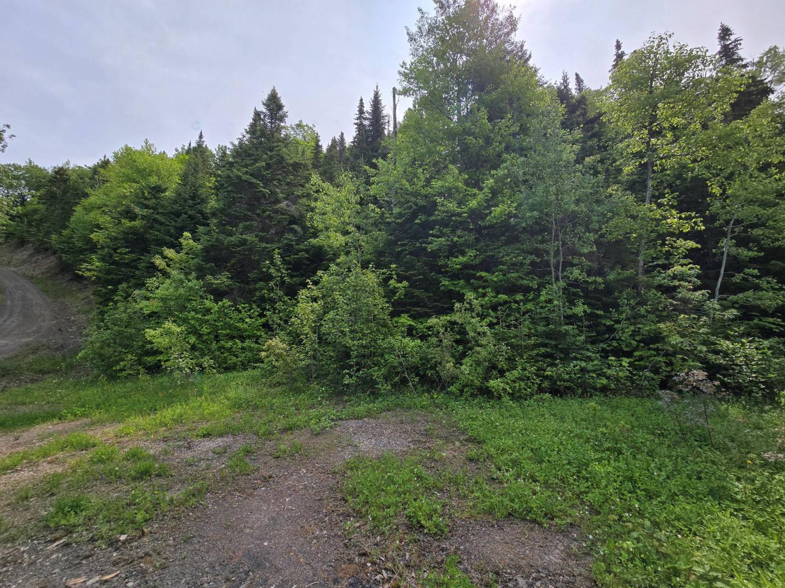 Route Du Ruisseau-vallée Property Photo 1