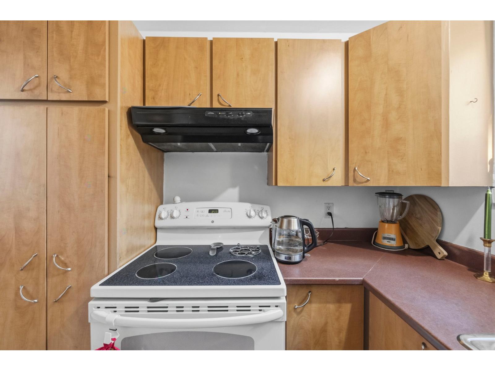 442 Rue Antoine-pinard Property Photo 32