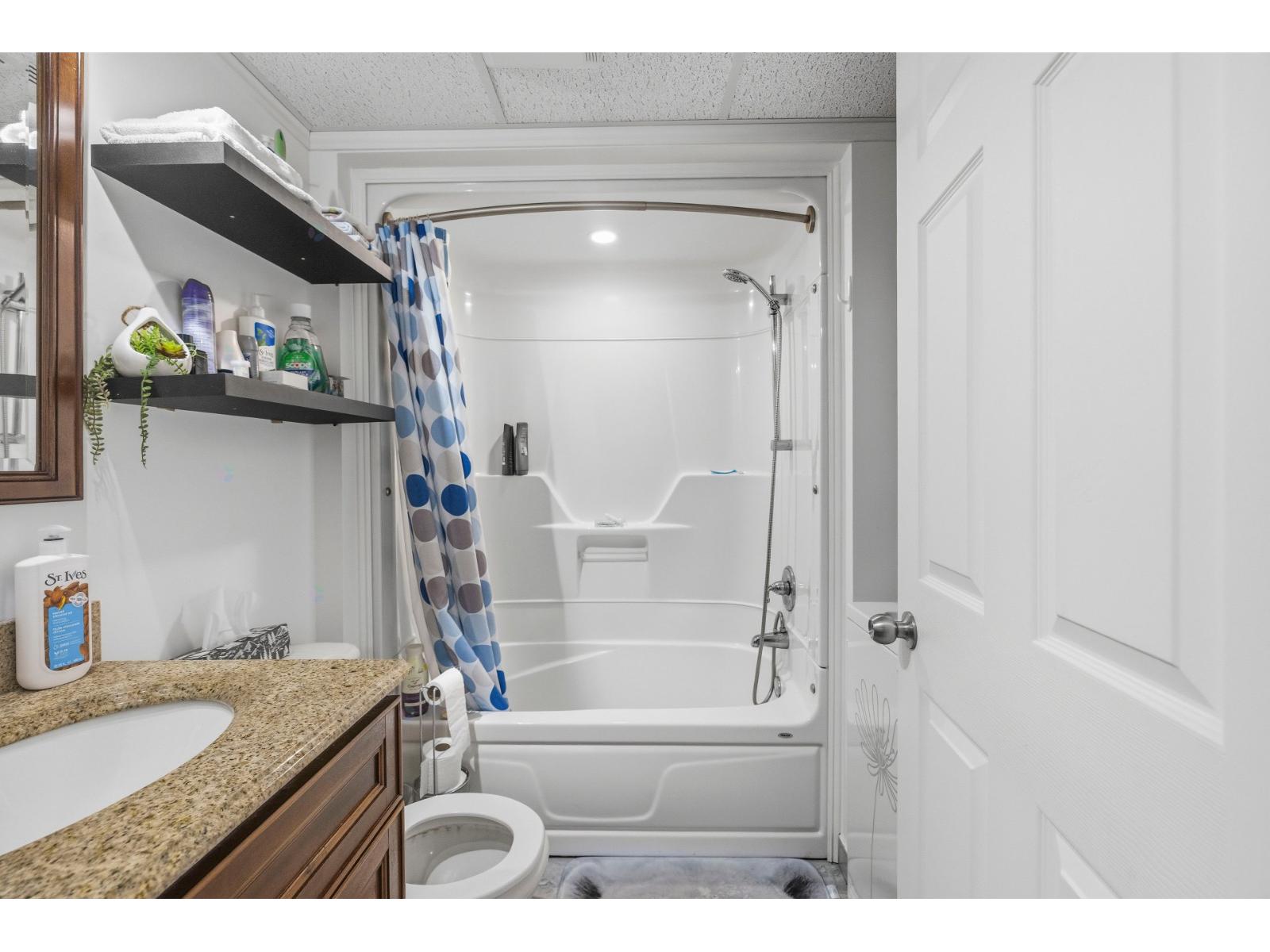 442 Rue Antoine-pinard Property Photo 73