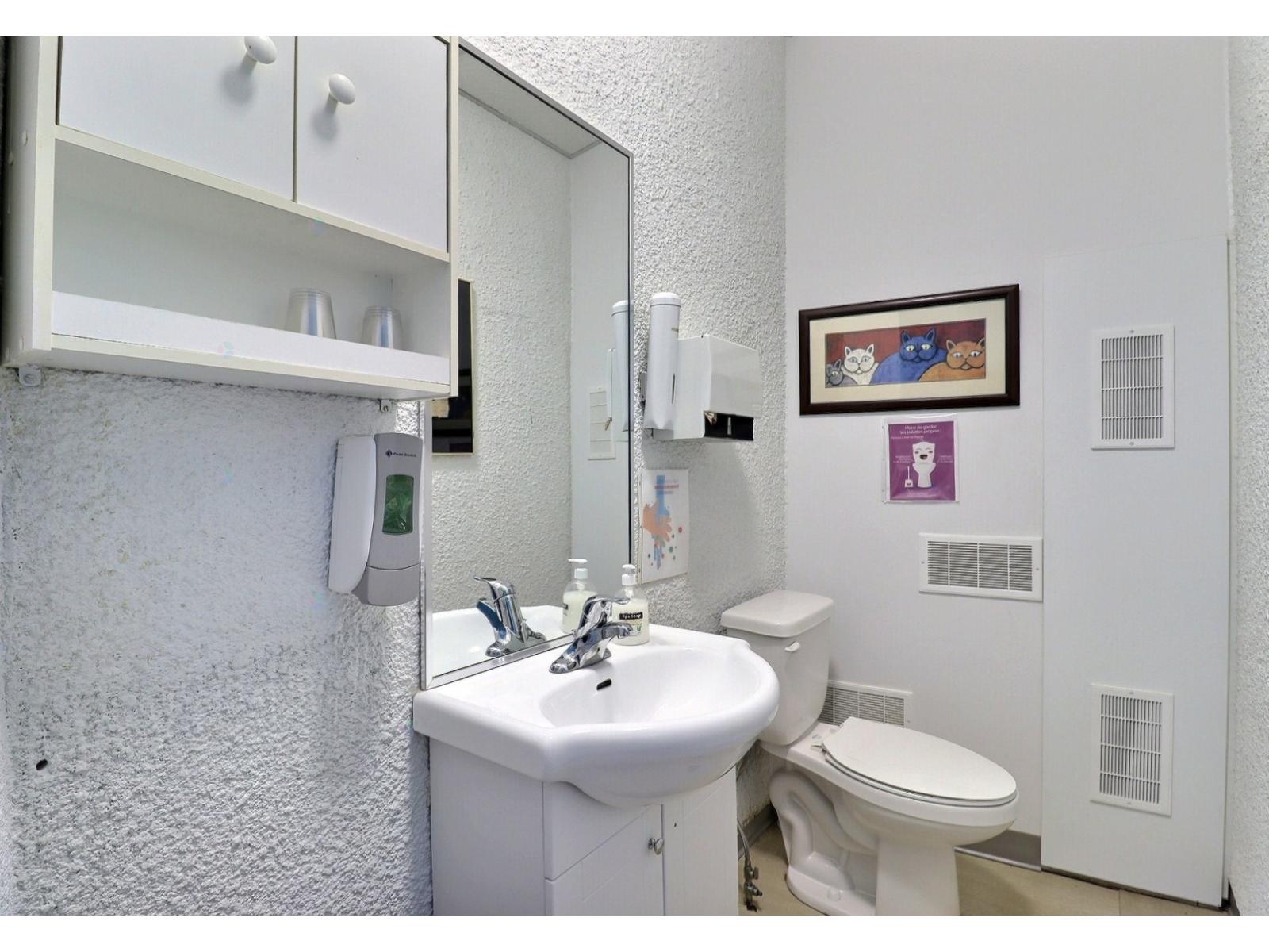 465 Rue Laval Property Photo 25