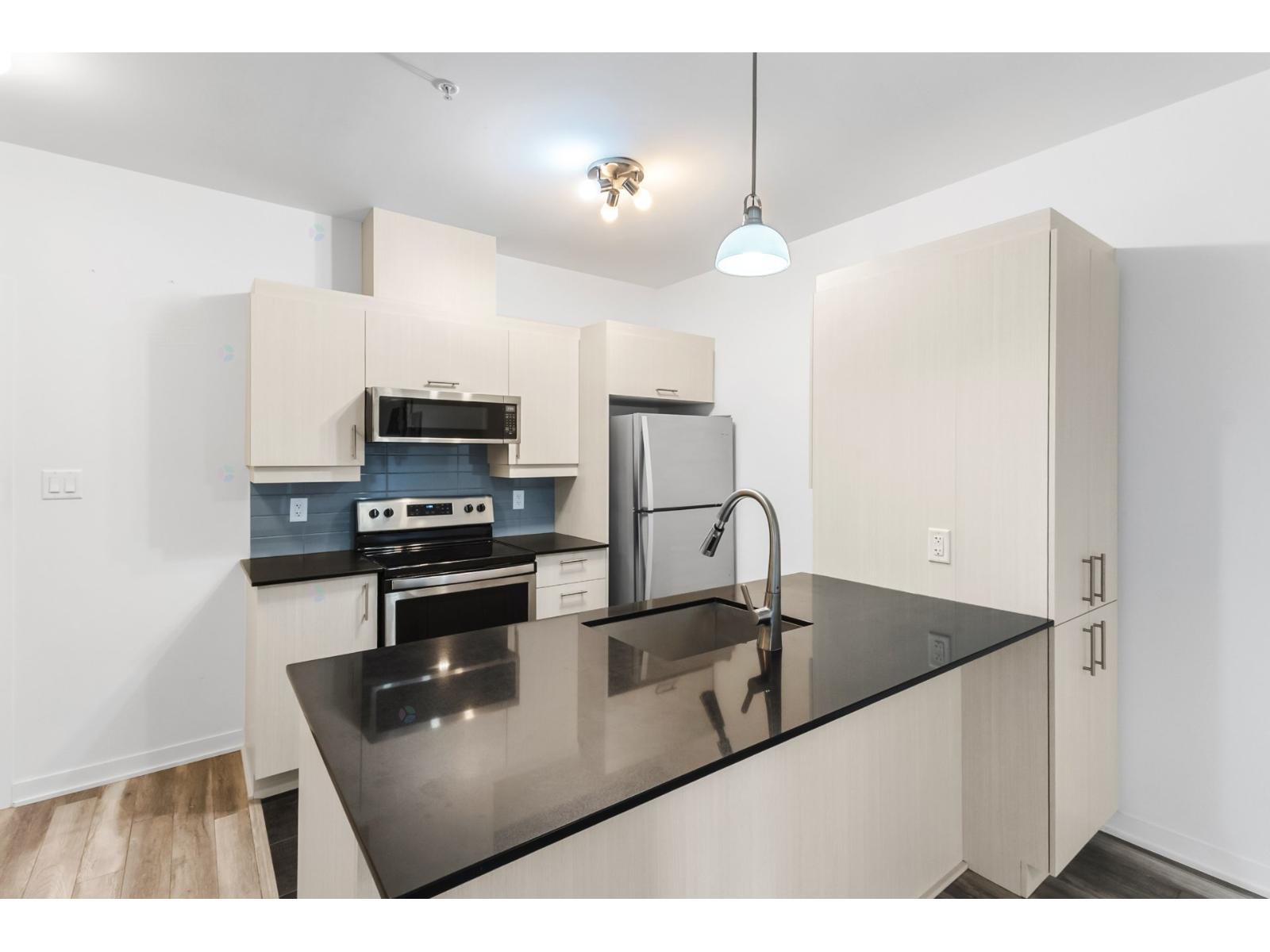 2520 Rue Maurice-savoie, #314 Property Photo 9