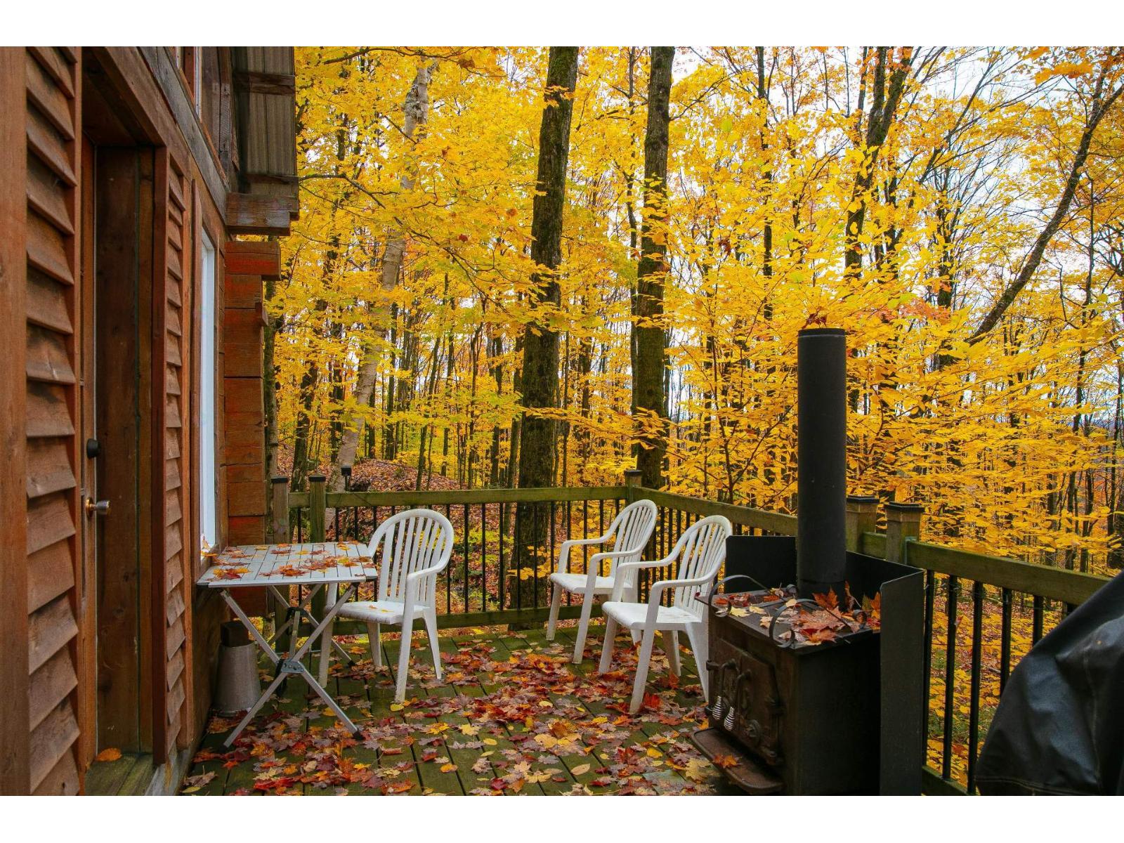 62 Rue Des Sommets Property Photo 16