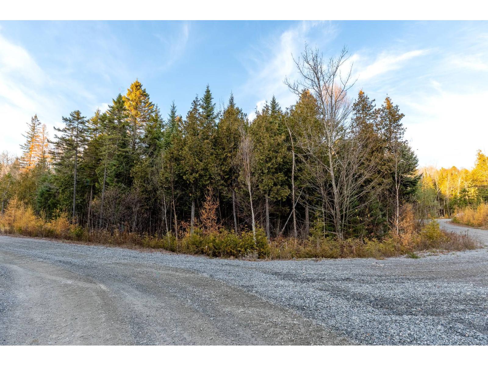 Rue Du Pinot Property Photo 15