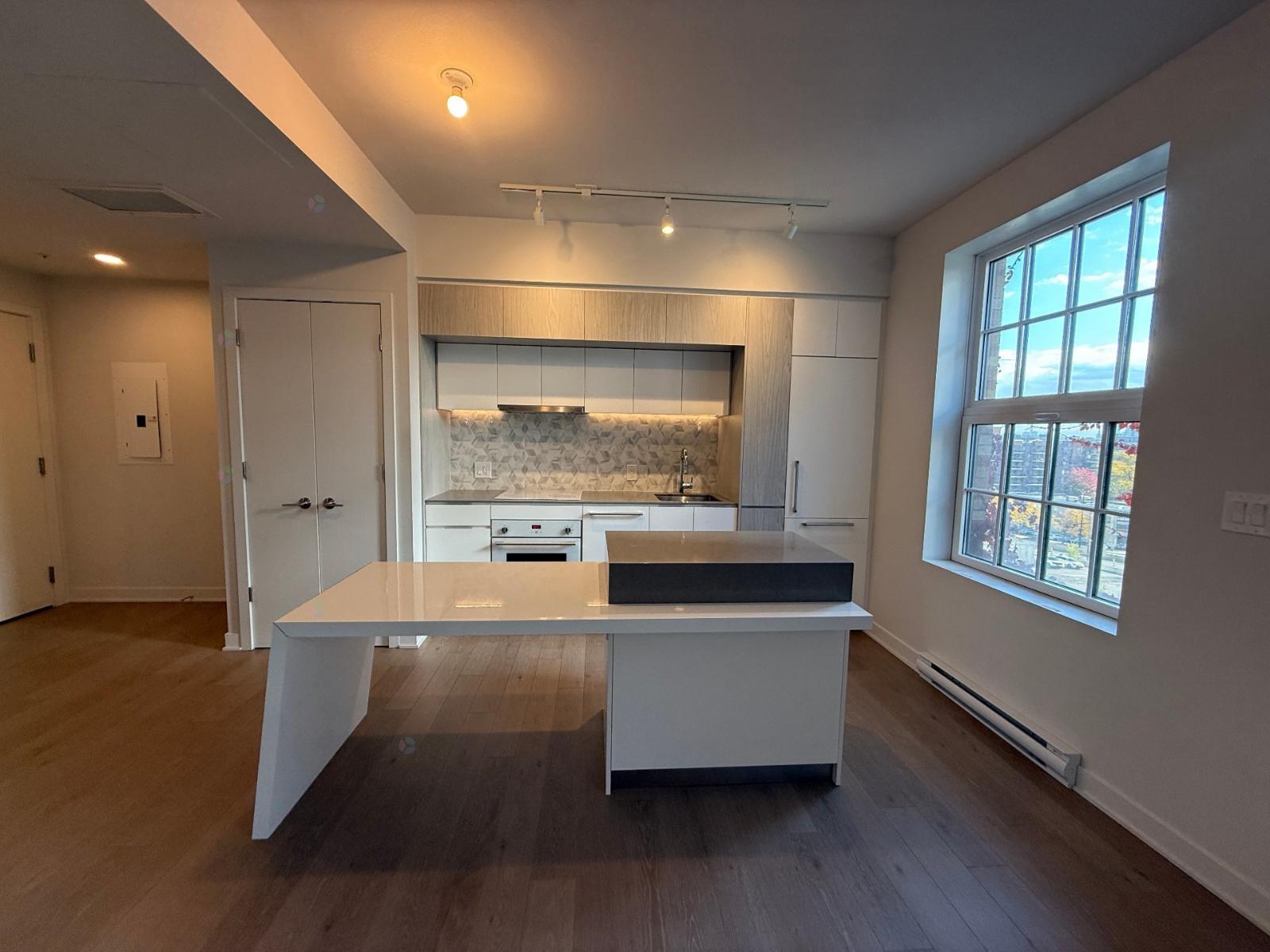 1188 Rue St-Antoine O., #611 Property Photo 1