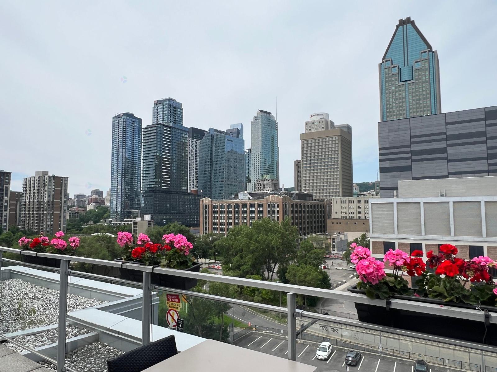 950 Rue Notre-dame O., #329 Property Photo 23