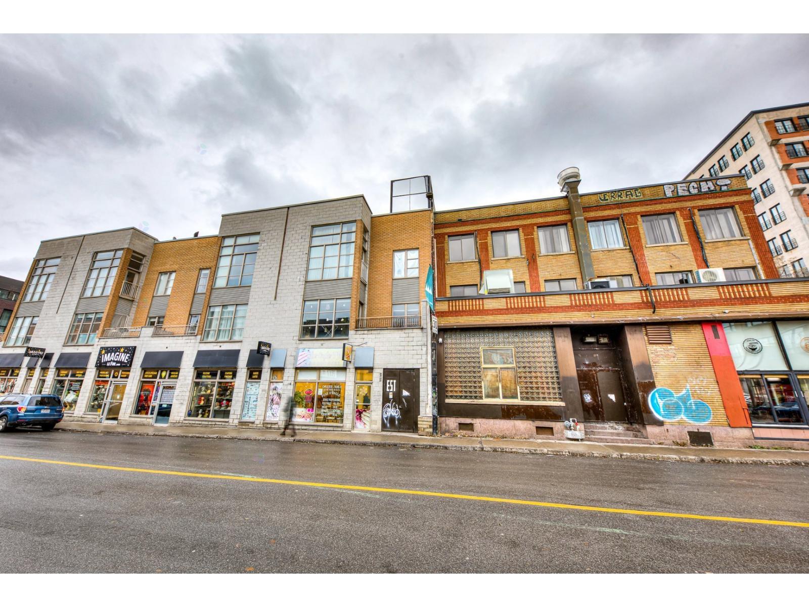 20 Av. Du Mont-royal E. Property Photo 21