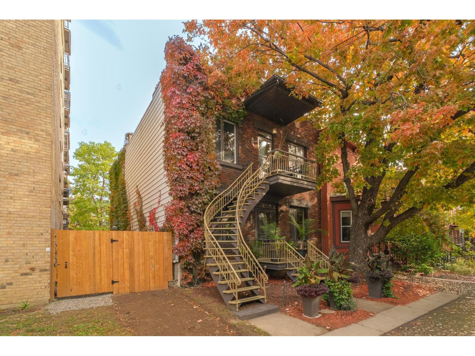 833 Rue Galt Property Photo 1