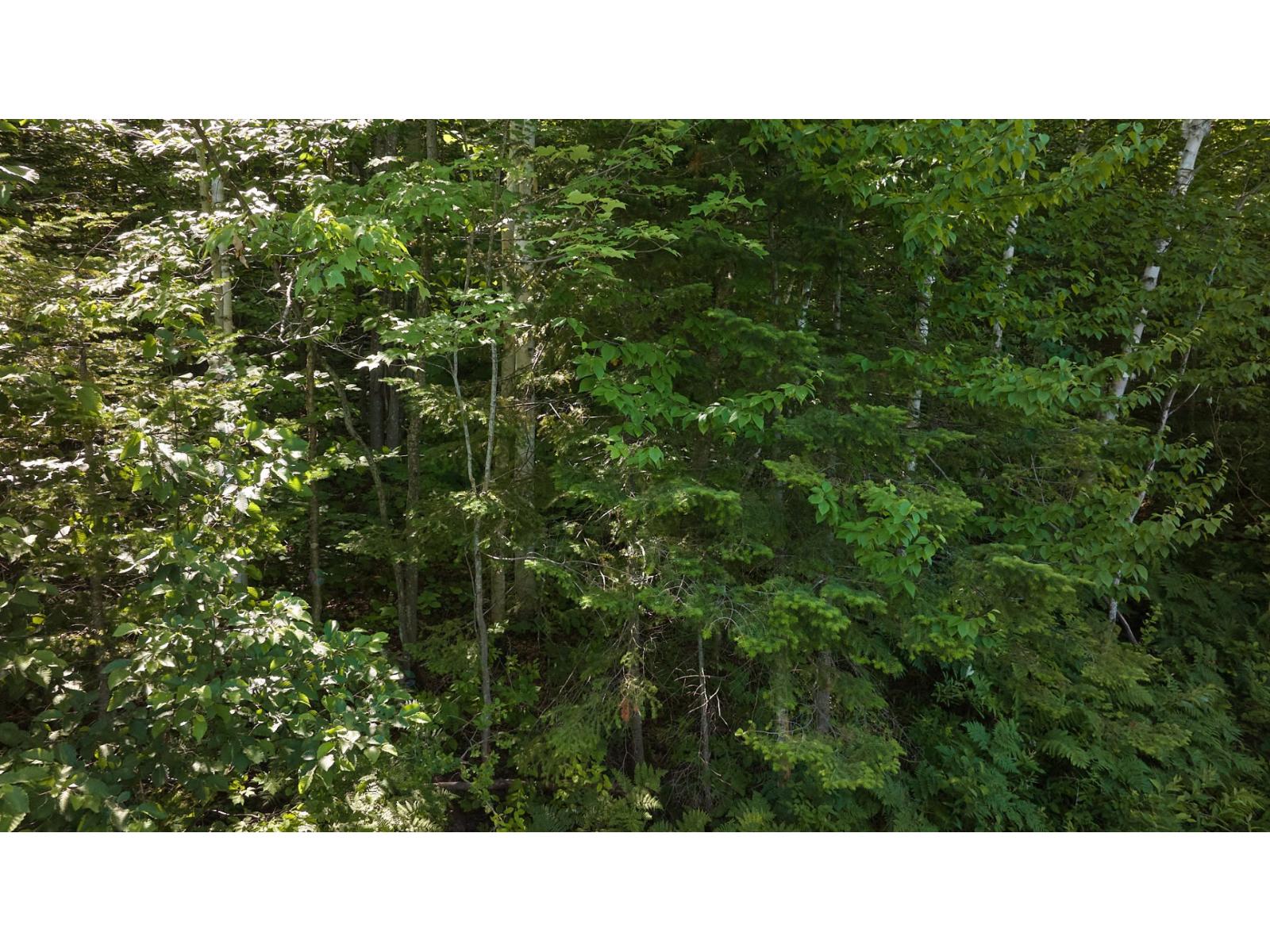 Ch. St-guillaume Property Photo 11