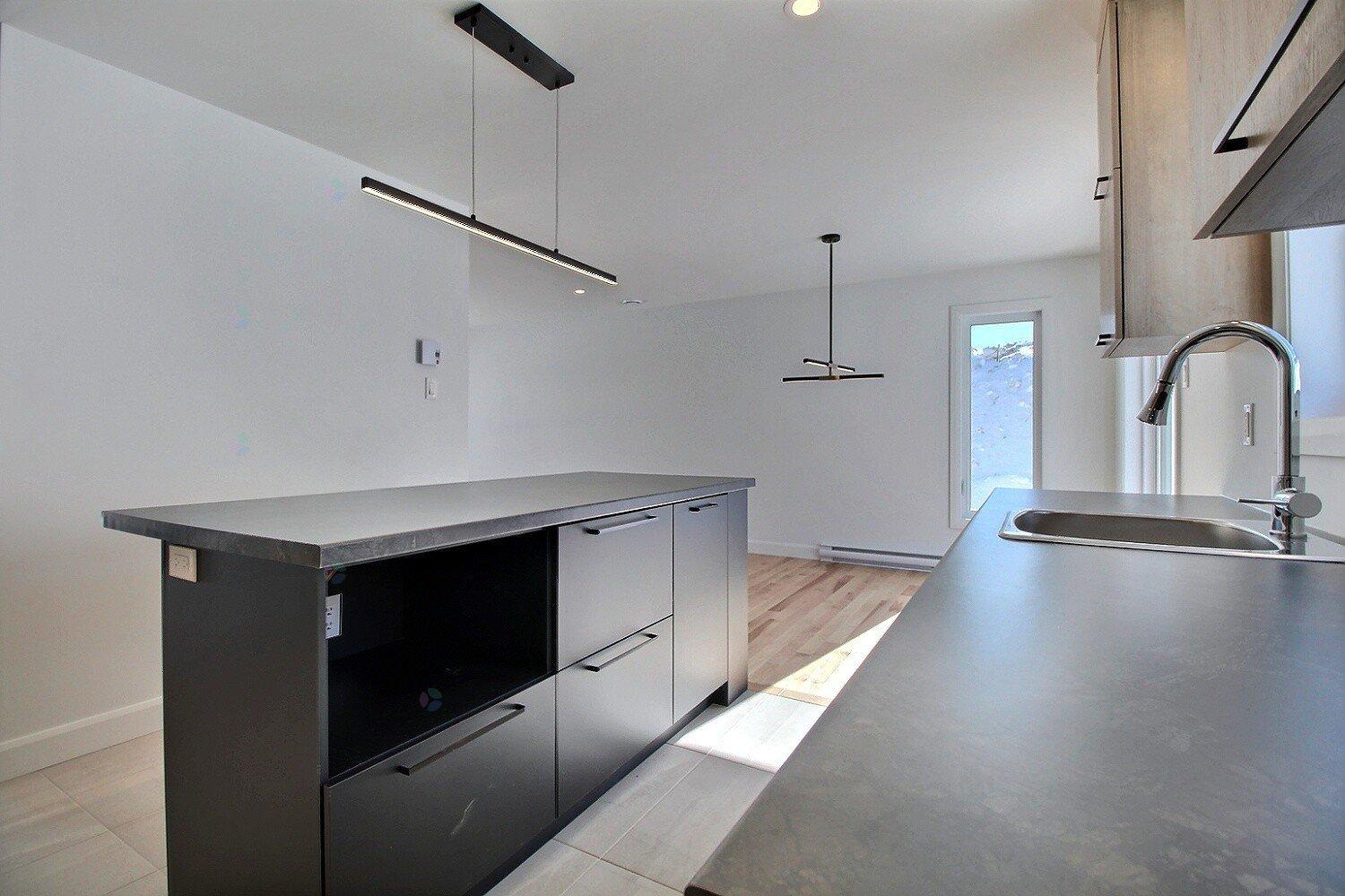 Rue Guy-linteau Property Photo 12
