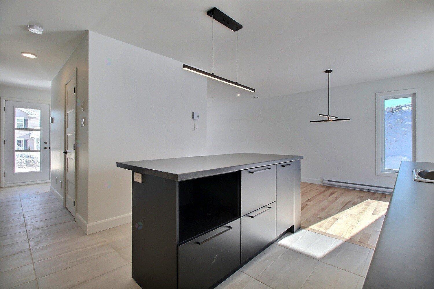 Rue Guy-linteau Property Photo 13