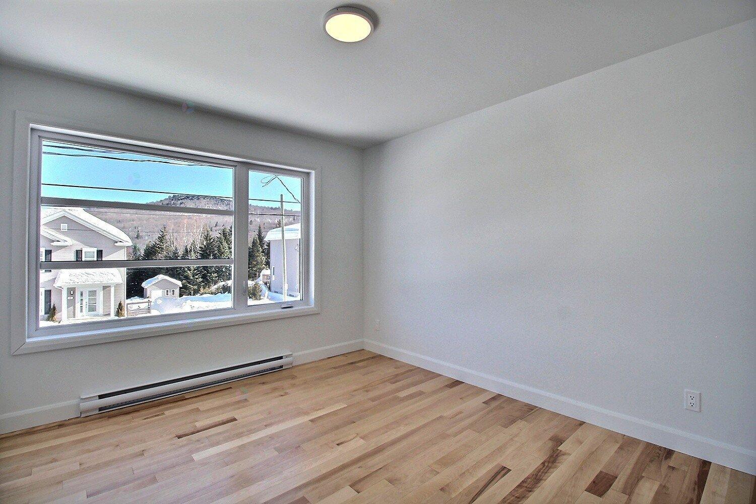 Rue Guy-linteau Property Photo 17