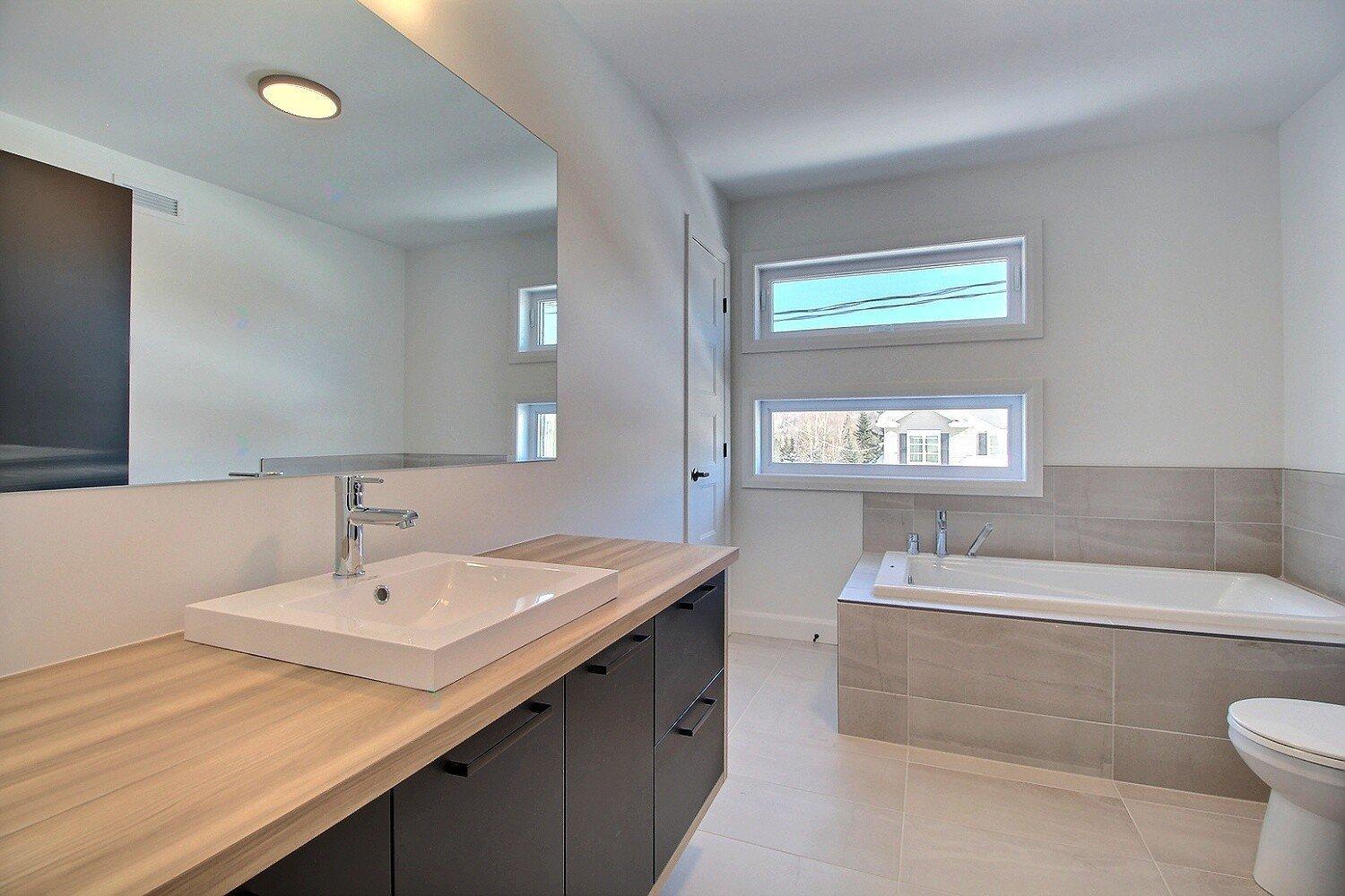 Rue Guy-linteau Property Photo 19