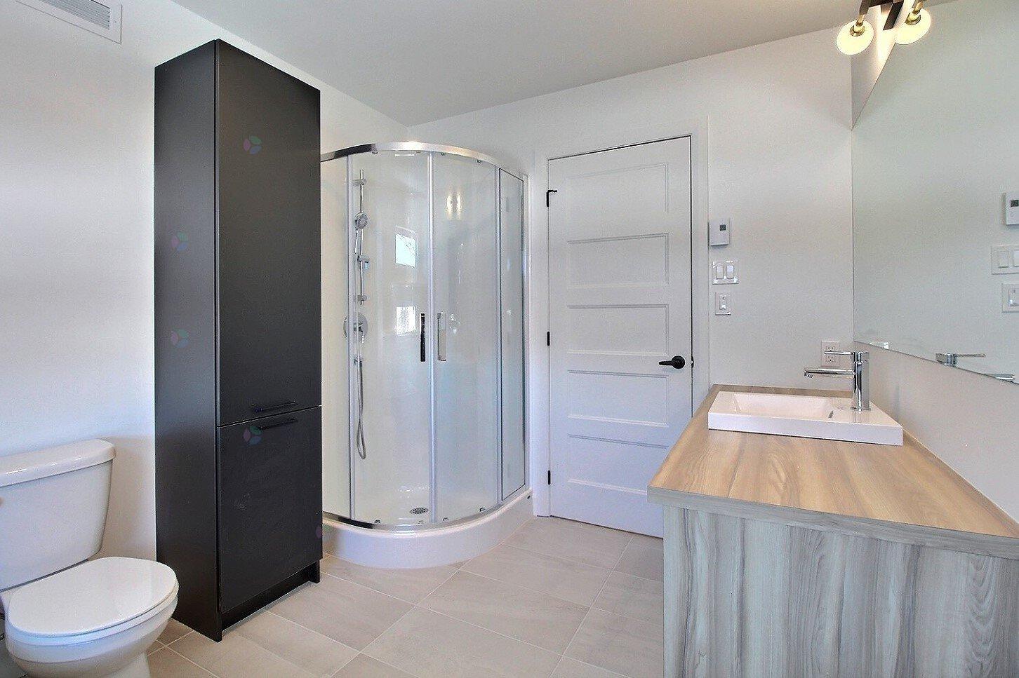 Rue Guy-linteau Property Photo 20