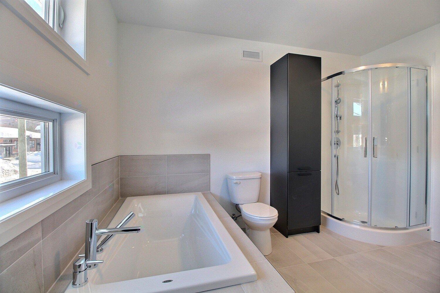 Rue Guy-linteau Property Photo 21