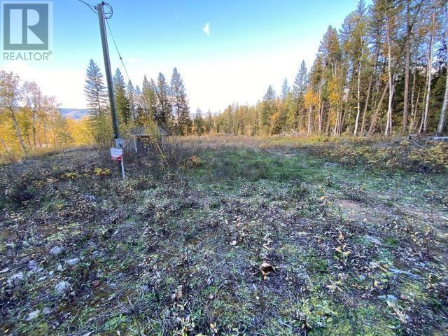 450 Dunn Lake Road Property Photo 5