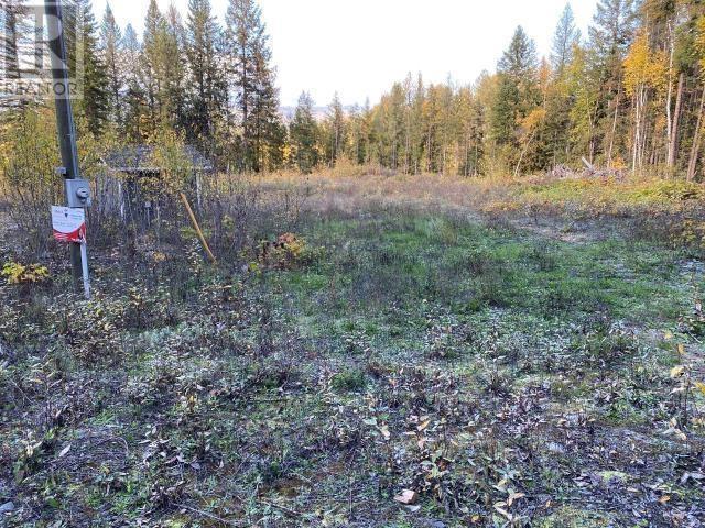 450 Dunn Lake Road Property Photo 6