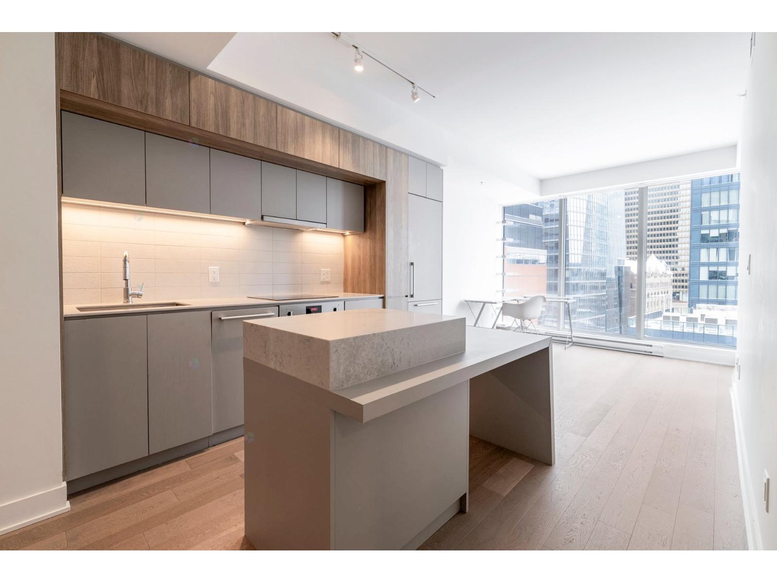 1288 Rue St-antoine O., #1106 Property Photo 5