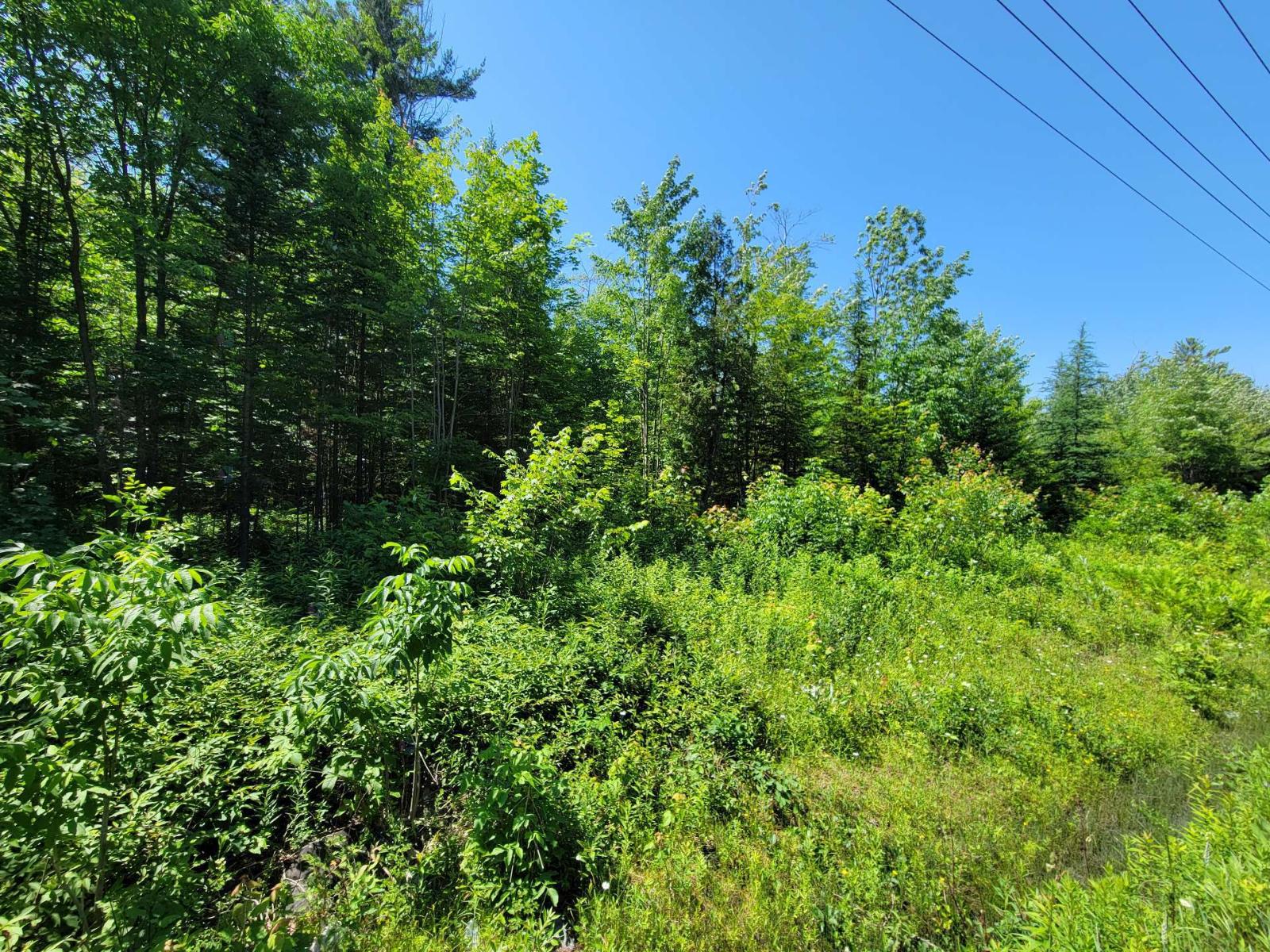 Route 337 Property Photo 6